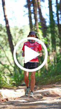 BIB:  <button type="button" onclick="openModal(26787692)" class="btn btn-primary btn-sm float-right" data-toggle="modal" data-target=".modal-high-quality">
                <i class="fa fa-download"></i> Download
                </button>